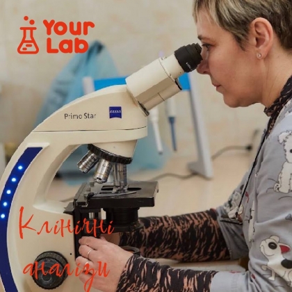    7   Your Lab. 