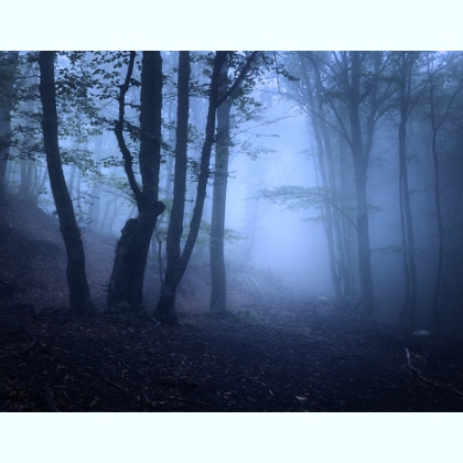 ����������� ������� ������� ������ ������ viber 970778327