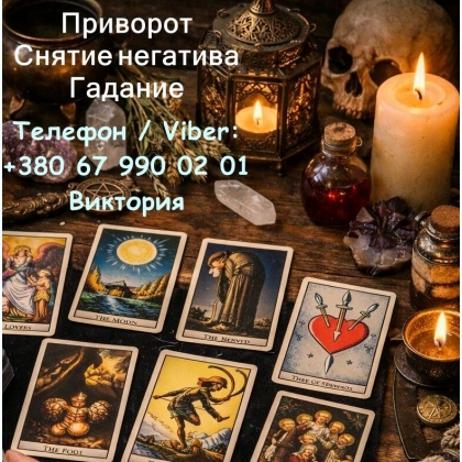 ����������� � ���������. �������� �����. �������. 