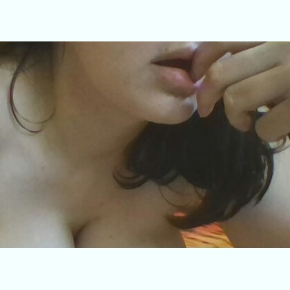 ���� ����� - ��������� - ��������. �������