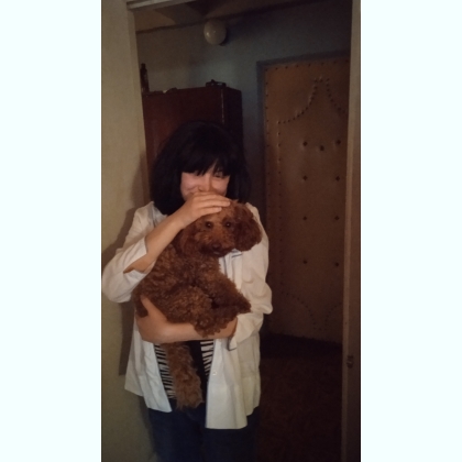 ����� � ������ ������������� � ��������� ��������� 