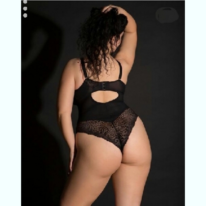 ��������������                   ����������