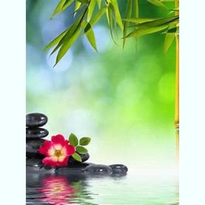 ������������� ������