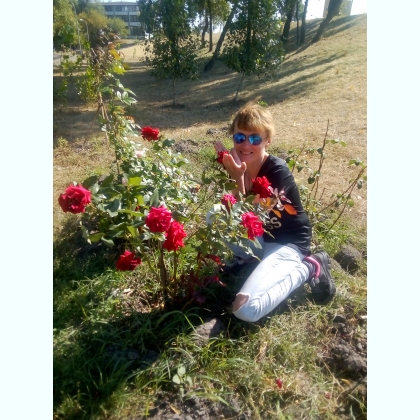 ������ ����� � ��������� ��� ������������ � ������������