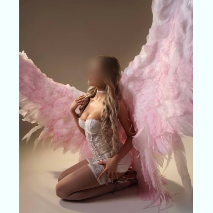 �O�E����� �A �O�.���������� ������������O  