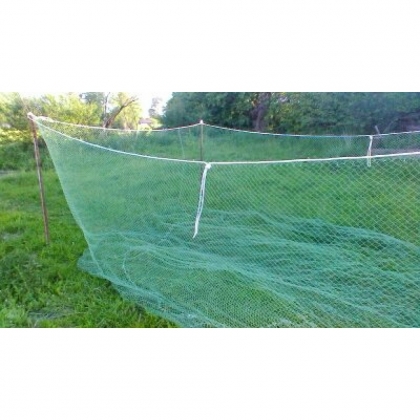  �����, �����, ������ ������ ��� ���� 