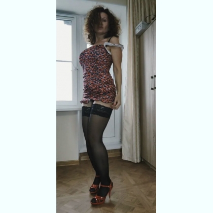 ������������ ��������� �������...